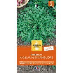 Graines Pissenlit À Cœur...