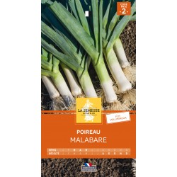 Graines Poireau Malabare...