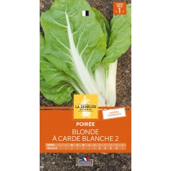 Graines Poiree Blonde À...