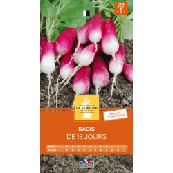 Graines Radis De 18 Jours 1...