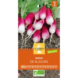 Graines Radis De 18 Jours...
