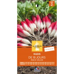 Graines Radis De 18 Jours...