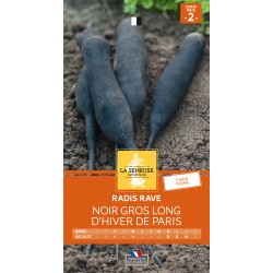 Graines Radis Noir Gros...