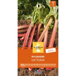 Graines Rhubarbe Victoria...