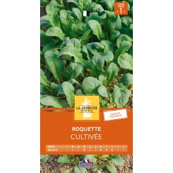 Graines Roquette Cultivée...