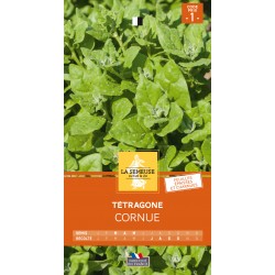 Graines Tetragone Cornue...