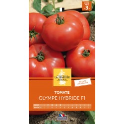 Graines Tomate Olympe F1...