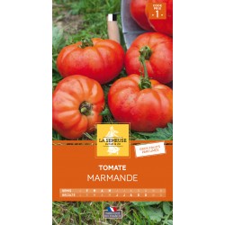 Graines Tomate Marmande -LA...