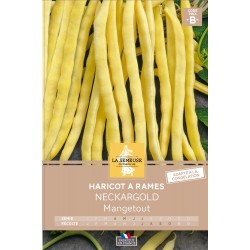 Graines Haricot À Rames...