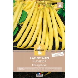 Graines Haricot Nain...