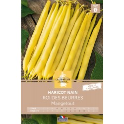 Graines Haricot Nain...