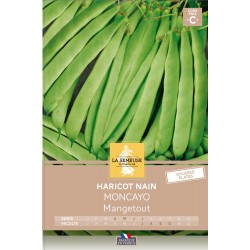 Graines Haricot Nain...