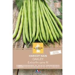 Graines Haricot Esf Nain...