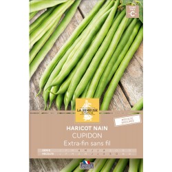 Graines Haricot Nain Efsf...