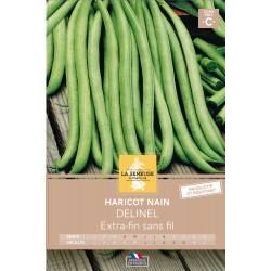 Graines Haricot Nain Efsf...