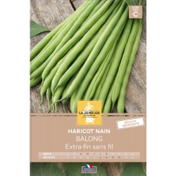 Graines Haricot Nain Efsf...