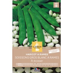 Graines Haricot À Rames À...