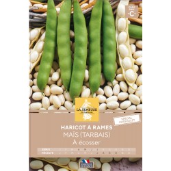 Graines Haricot À Rames À...