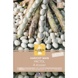 Graines Haricot Nain À...