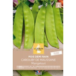 Graines Pois Mangetout...