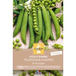 Graines Pois À Rames...