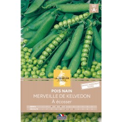 Graines Pois Nain Merveille...