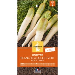Graines Carotte Blanche À...