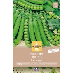 Graines Pois Nain Lincoln...