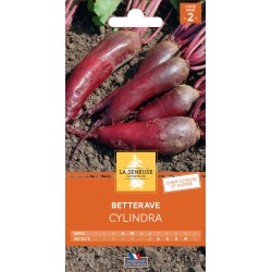Graines Betterave Cylindra...