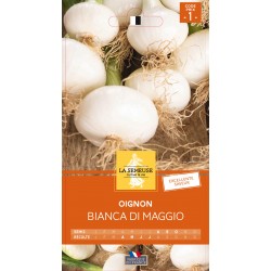 Graines Oignon Bianca Di...