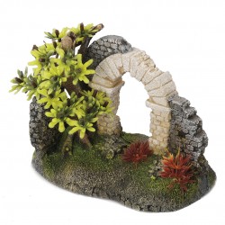 DECOR ARCHE ROMAINE S...