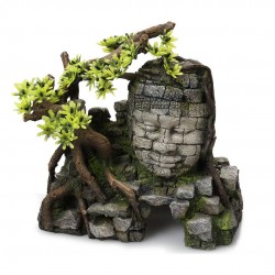 DECOR TEMPLE ANGKOR+PLANTES...