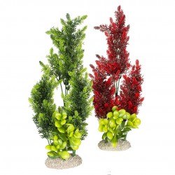 PLANTE ELODEA DENSA XL H46...