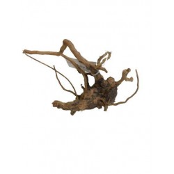 Racine RED MOOR WOOD Extra...