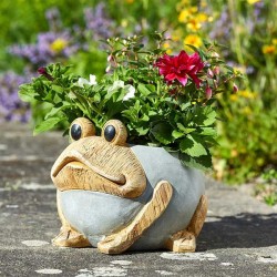 Cache pot woodstone grenouille