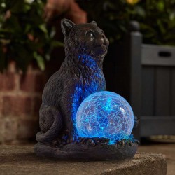Chat boule LED