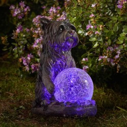Chien avec boule LED