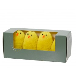 Boite De 4 Poussins...