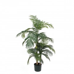 Areca Palm En Pot Vert En...