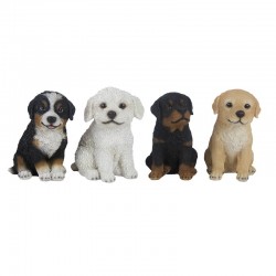 Chiot Assis -Vendu À...