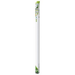 SUPERFISH RETRO LED BRIGHT...