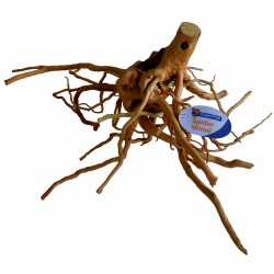 SUPERFISH SPIDERWOOD Racine...