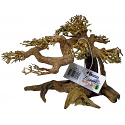 SUPERFISH BONSAÏ DRIFWOOD S...