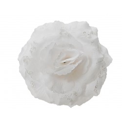 Rose Sur Clip Blanc Hiver...