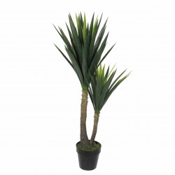 Yucca En Pot Vert En...