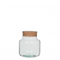 Bocal Chela  Transparent En...