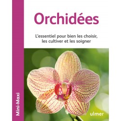 Livre - Orchidées-Mini...