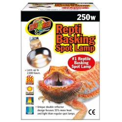 ZOOMED REPTI BASKING SPOT...
