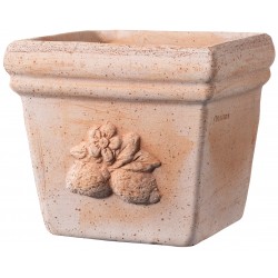 Bac quadro SICILIA terre...