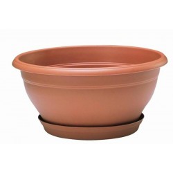 Coupe lotus scpe ø35-h17.5...